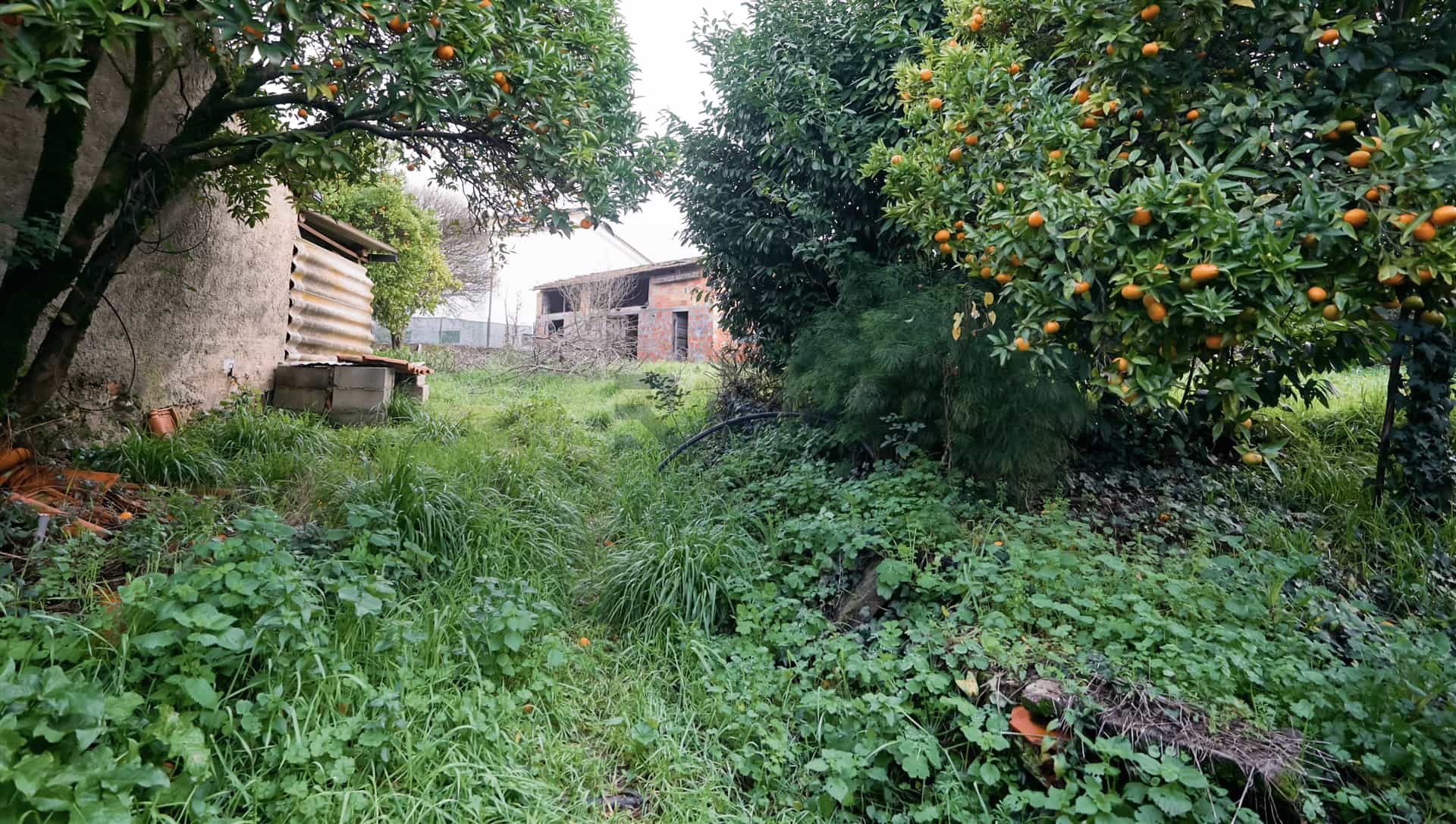 Moradia T3 Venda em Águeda e Borralha,Águeda preview 3