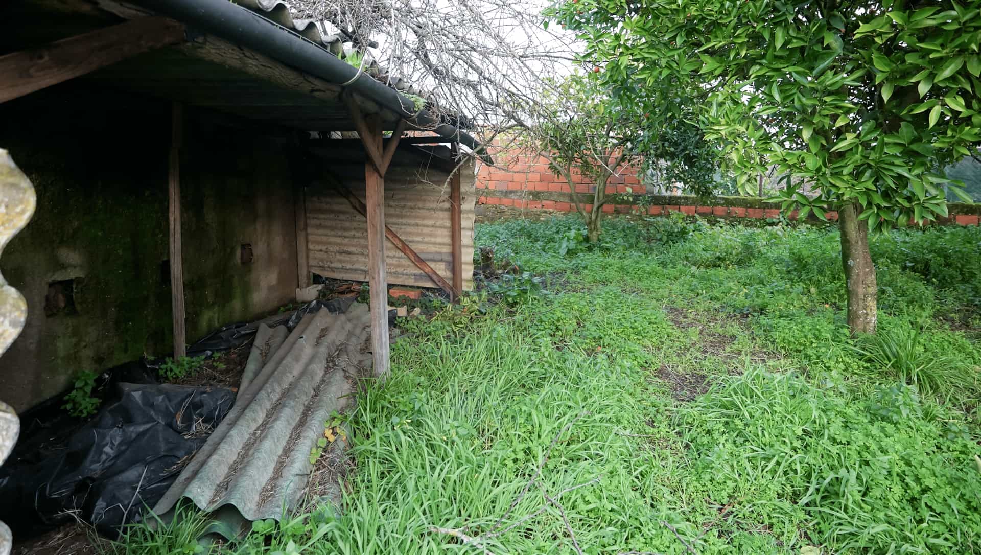 Moradia T3 Venda em Águeda e Borralha,Águeda preview 4